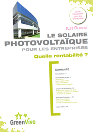 Le solaire photovoltaïque pour les entreprises - Quelle rentabilité ?